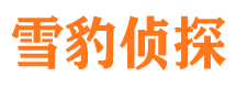 阿拉善找人公司